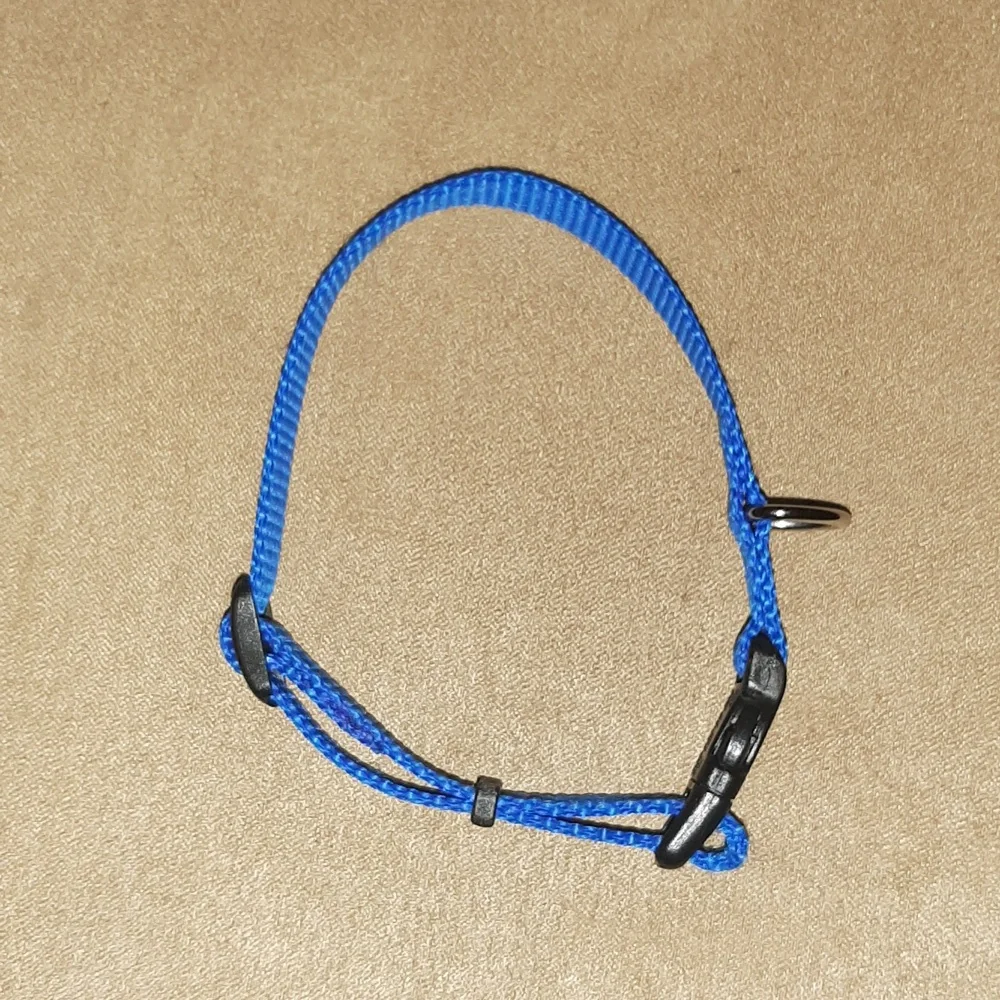 🐶🐕Top Paw-Dog Collar Small, New without Tags, Free with Purchase!
